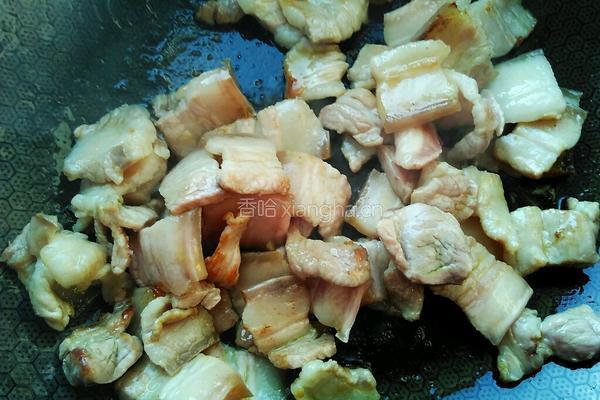 红烧肉焖茄子的做法图解7