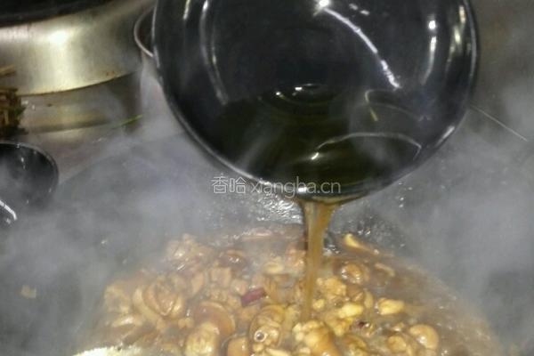 黄焖鸡米饭的做法图解9