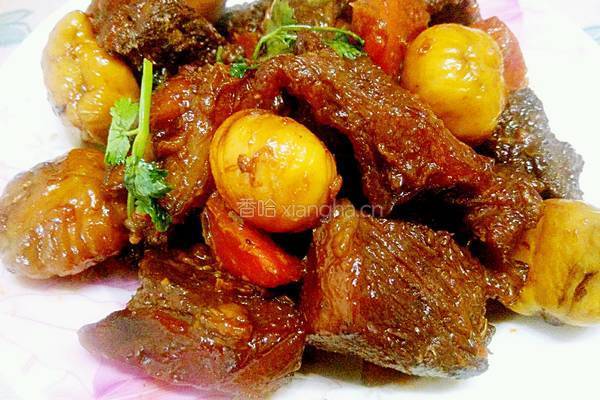 板栗煲牛肉的做法图解26