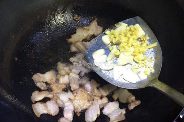 农家小炒肉的做法图解5