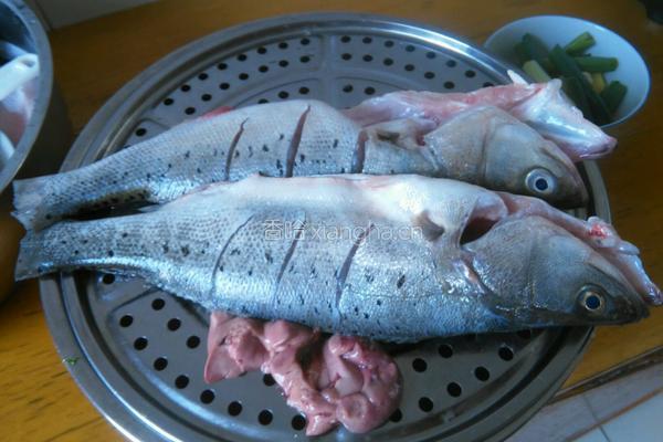 啤酒鲈子鱼的做法图解1