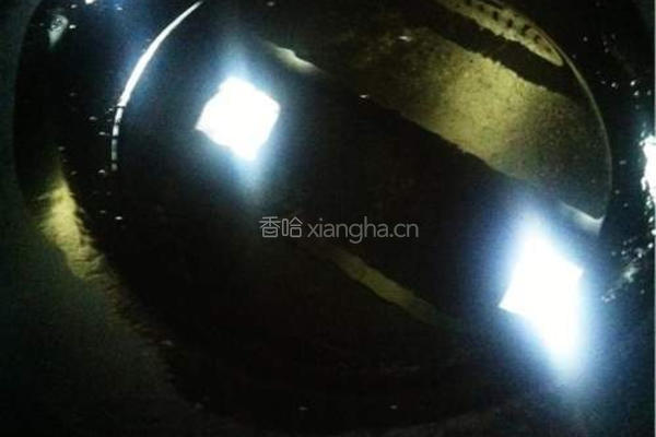 辣疙瘩的做法图解5