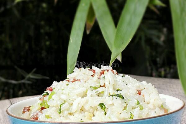 香肠丁芹菜炒饭的做法图解5