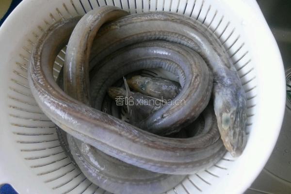 五花烧海鳗的做法图解1