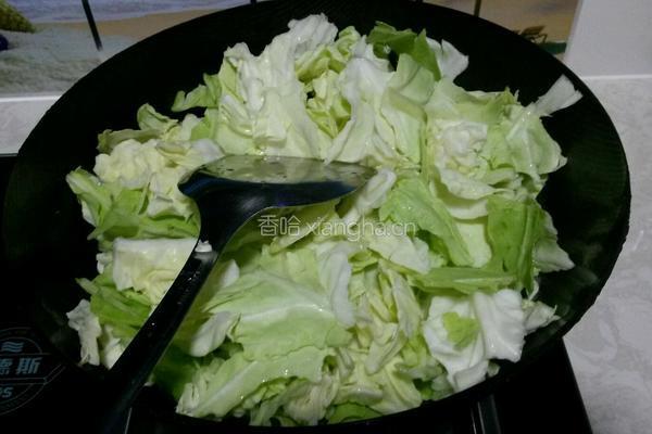 手撕圆白菜的做法图解4