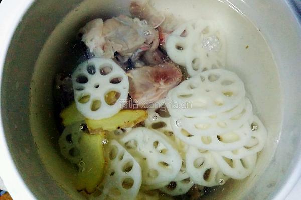 莲藕炖猪尾骨的做法图解6