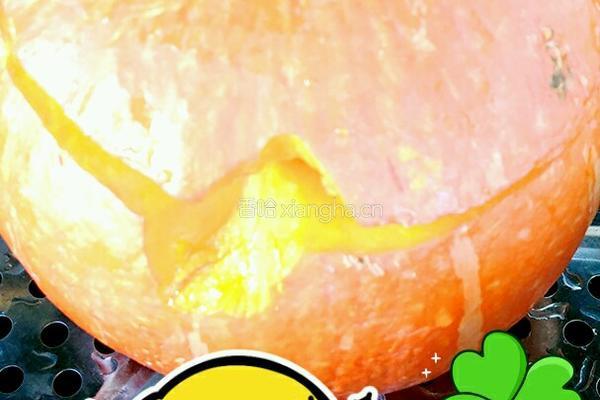 简易南瓜饭的做法图解3