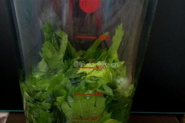 芹菜叶虾仁饼的做法图解4