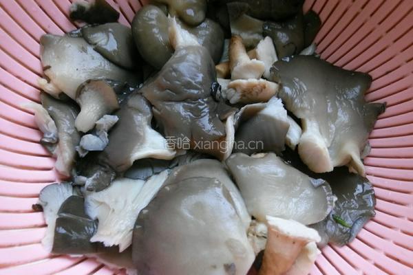 蘑菇肉酱的做法图解4