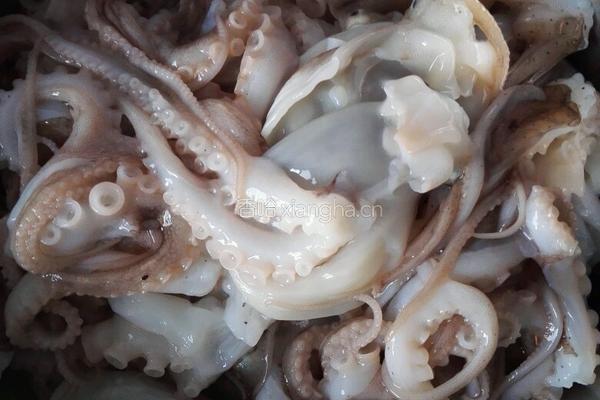 红烧肉八爪鱼炖莲藕的做法图解2