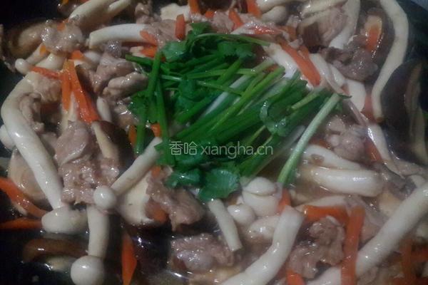 蚝油双菇肉片的做法图解7