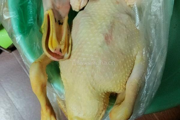 广式鸭子煲的做法图解1