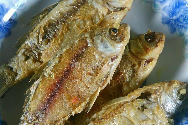 鲫鱼豆腐汤的做法图解2