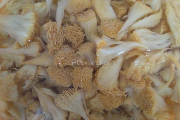 红烧猴头菇的做法图解4