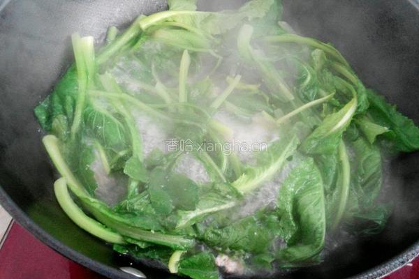 小白菜汆丸子汤的做法图解9