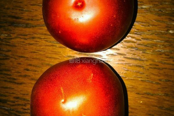 开胃鱼头蕃茄汤的做法图解2