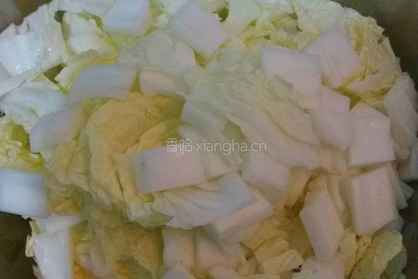 自制辣白菜的做法图解1