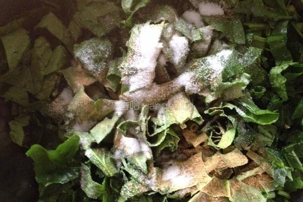 玉米面菠菜馍馍的做法图解2