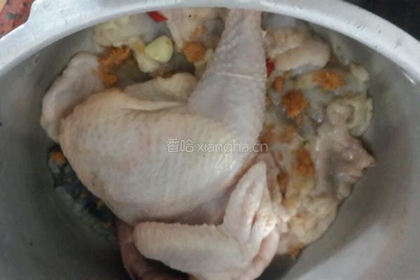 焗鸡的做法图解3