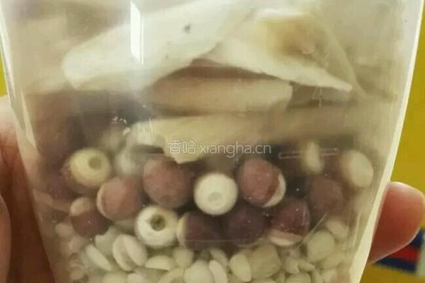 山药芡实薏米红枣浆的做法图解1