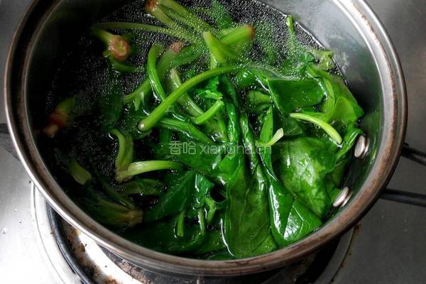 麻酱菠菜的做法图解4