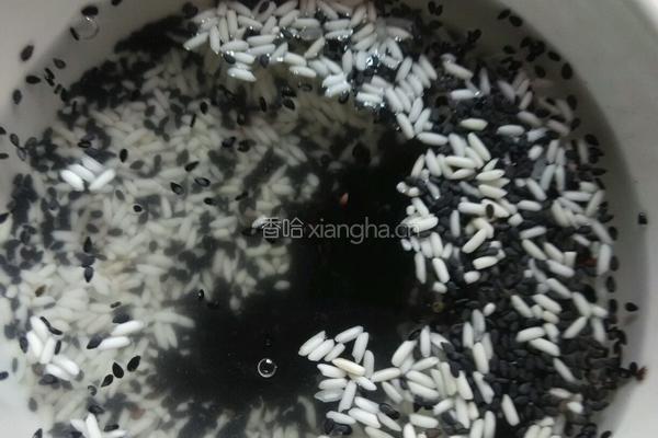 黑芝麻糊的做法图解3
