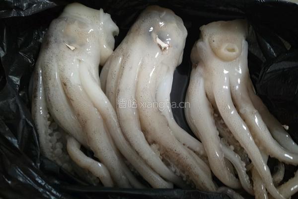 油冲菊花鱿鱼的做法图解1