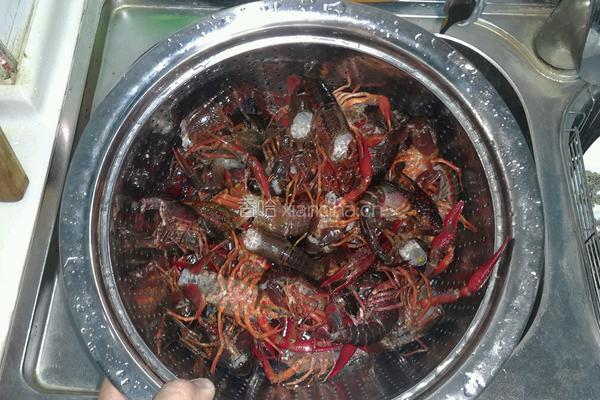 酱爆小龙虾的做法图解1