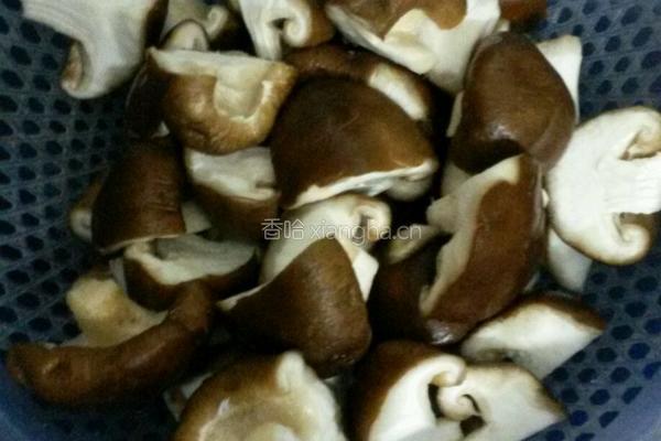 鲜菇滑鸡的做法图解2