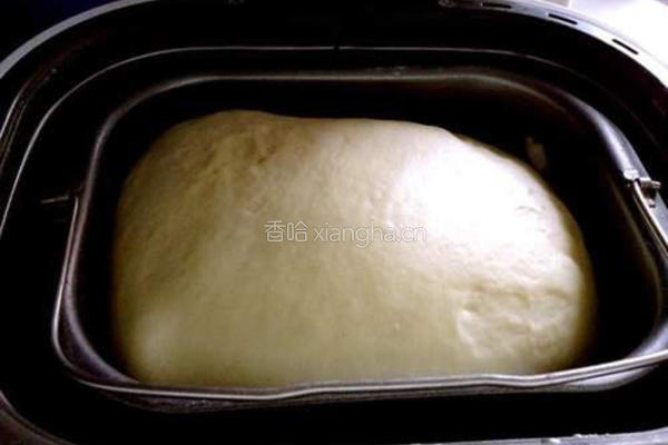奶香豆沙面包的做法图解6
