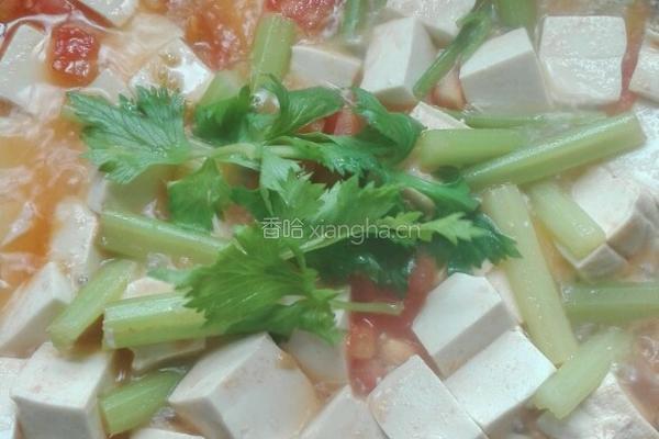西芹番茄炖豆腐的做法图解12