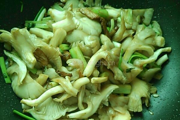 平菇炒肉片的做法图解8