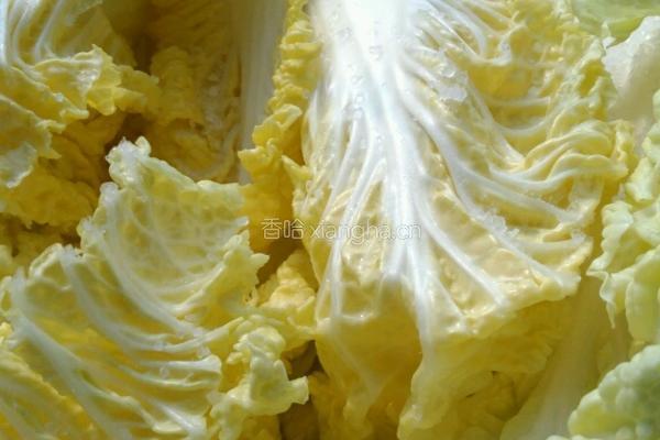 自制辣白菜的做法图解2