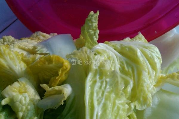 自制辣白菜的做法图解3