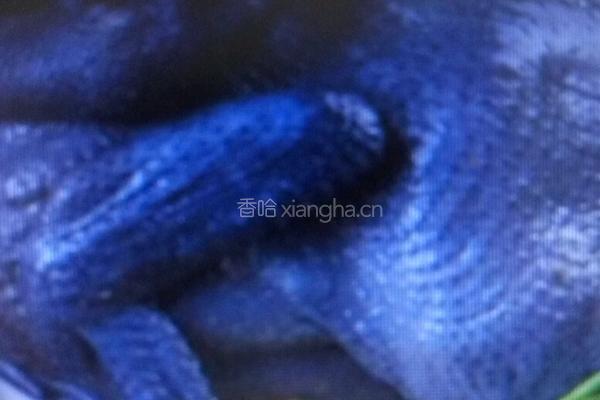 当归乌鸡汤的做法图解1