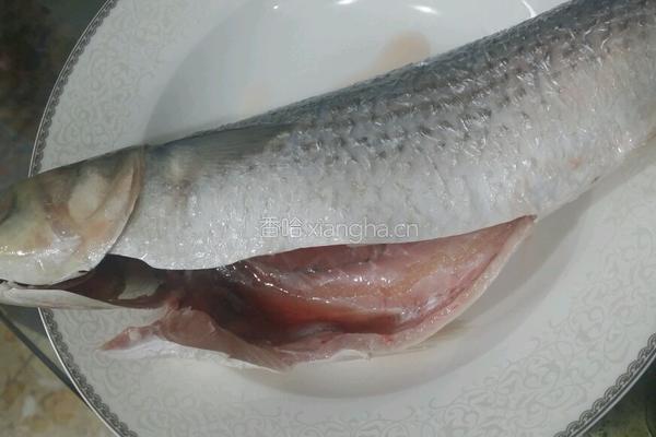 潮汕冻乌鱼“乌鱼饭”的做法图解1