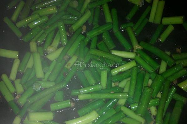 蒜苔炒百叶的做法图解4