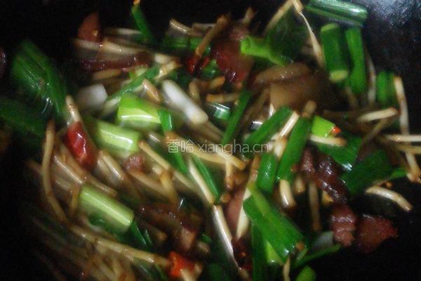 折耳根炒腊肉的做法图解8