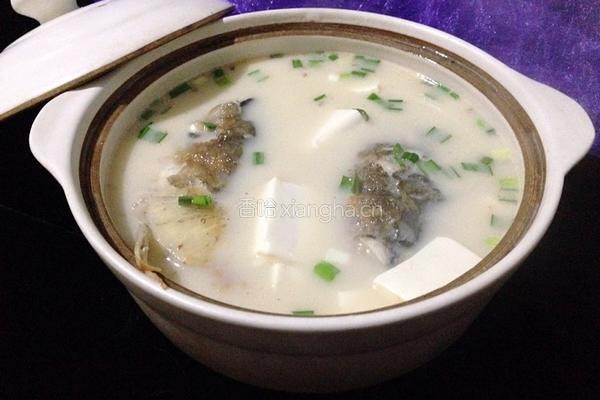 鱼头豆腐汤的做法图解9