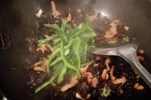 木耳肉丝的做法图解8
