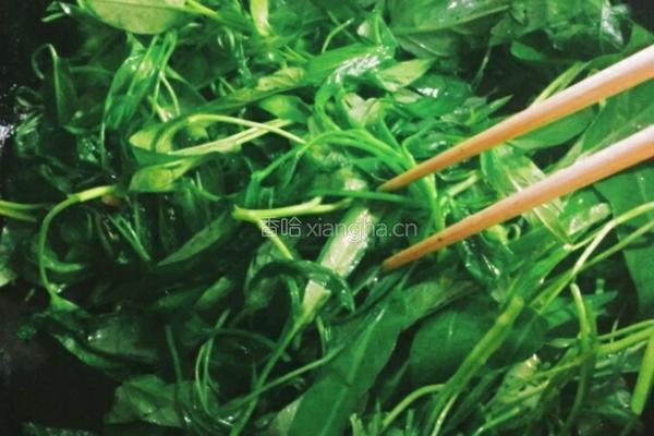 炒空心菜的做法图解4