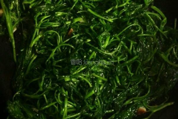 炒空心菜的做法图解5