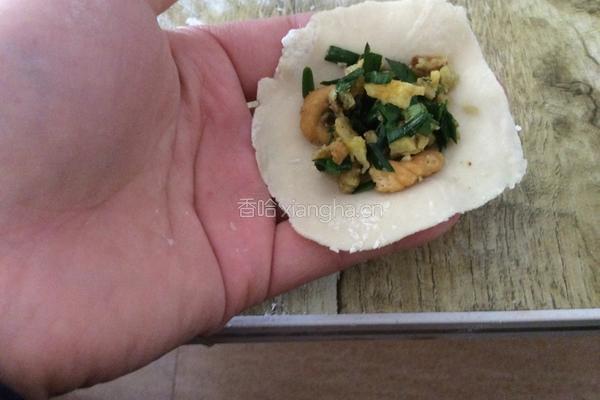 韭菜鸡蛋饺子的做法图解17