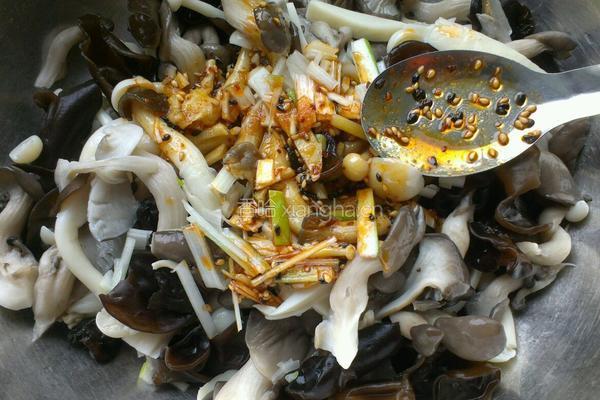 红油蘑菇的做法图解4