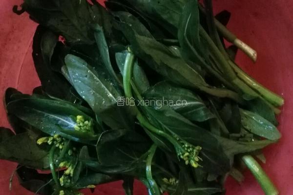 花菜炒肉肠的做法图解3