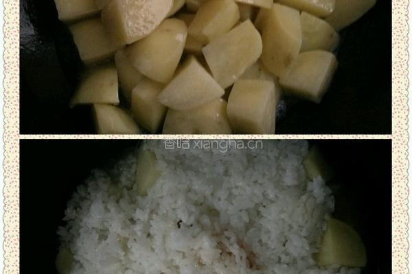 土豆焖饭的做法图解2