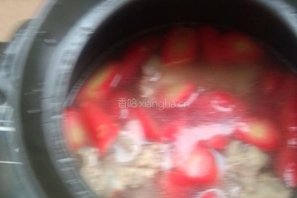 童子骨炖胡罗卜的做法图解5