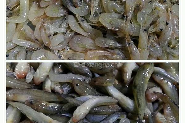 小鱼小虾一锅鲜的做法图解1