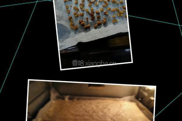 红枣蛋糕卷的做法图解8