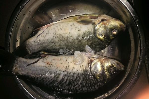 侧鱼茵陈汤的做法图解3